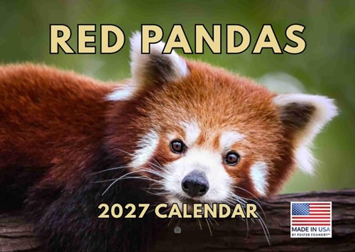 Red Panda Monthly Calendar 2027