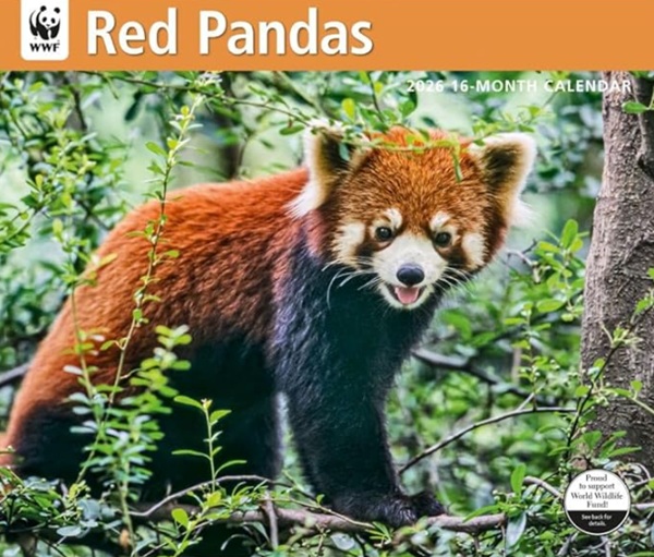 Red Pandas 2026 Wall Calendar World Wildlife Fund